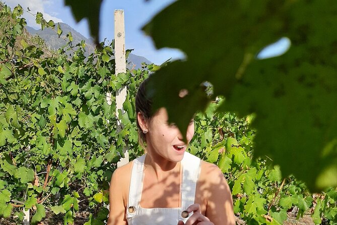Private Wine Tour: Terraced Vineyards with Alpine view from Milan - Lunch with wine in the valley