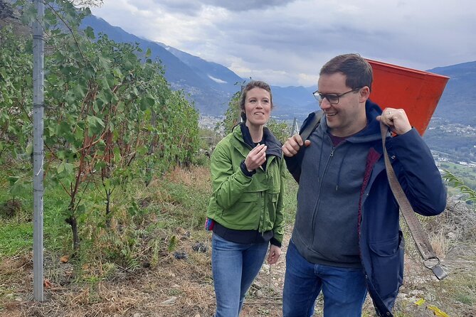 Private Wine Tour: Terraced Vineyards with Alpine view from Milan - A second drive through the valley