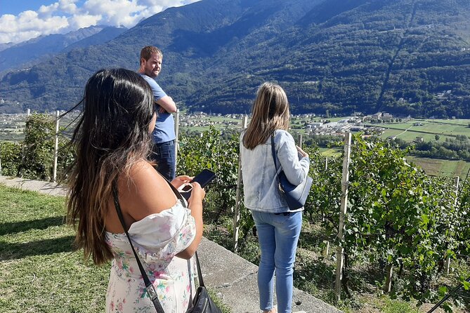 Private Wine Tour: Terraced Vineyards with Alpine view from Milan - The second winery and the strongest wine focus