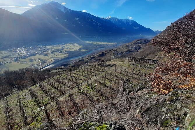 Private Wine Tour: Terraced Vineyards with Alpine view from Milan - Returning to Milan by local train