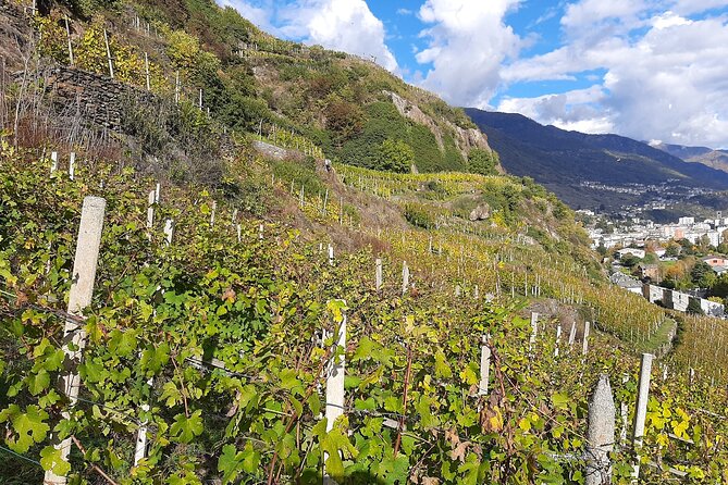 Private Wine Tour: Terraced Vineyards with Alpine view from Milan - The first winery visit