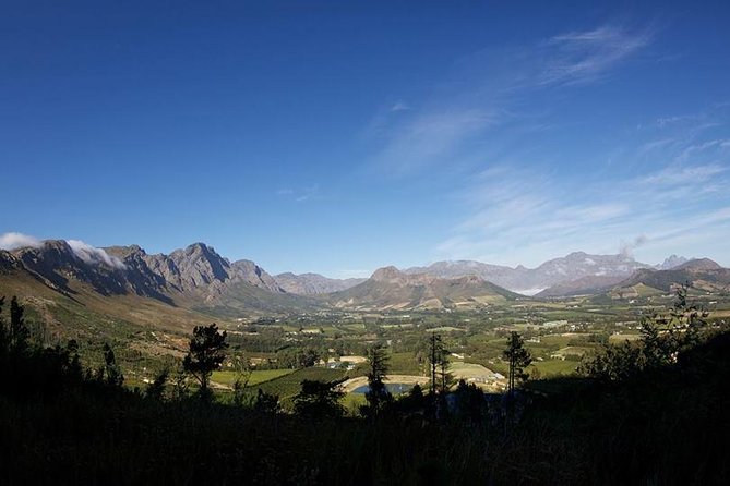 Private Wine Tour with Wine Expert to Stellenbosch-Franschhoek Wine Regions - What the $206.99 price really buys
