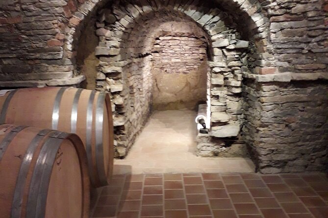 Private Winery and Vineyard Tour with Wine Tasting - Walking through the vineyards