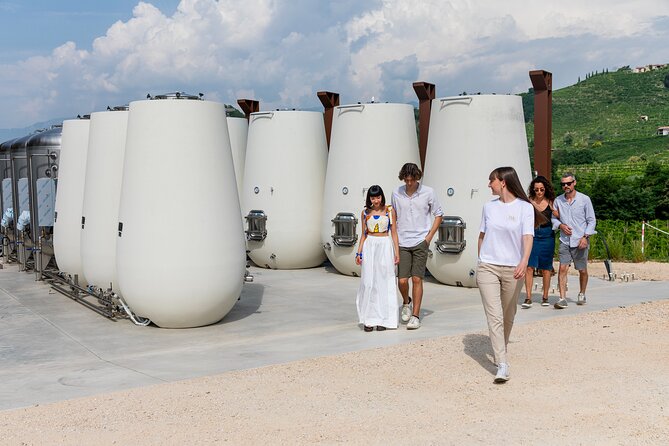 Prosecco tasting, appetizers and tour of the cellar and vineyards - A tasting room with the vines in view