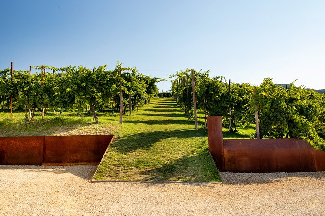 Prosecco tasting, appetizers and tour of the cellar and vineyards - Four glasses, four different ways to read Prosecco