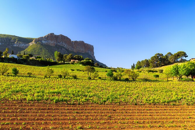 Provence Small Group Wine Full Day Tour in Chateauneuf du Pape vineyard from Aix - The second winery shows another side of the appellation