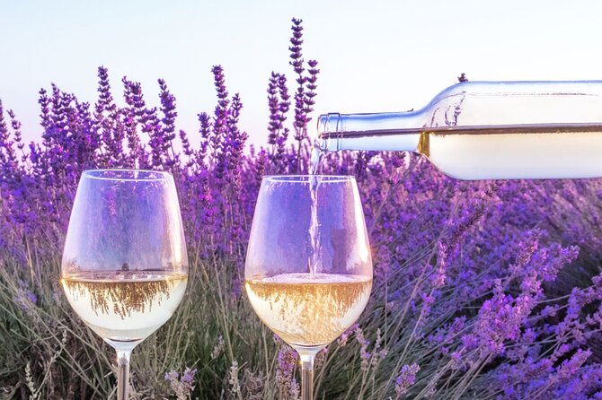 Provence Small Group Wine Full Day Tour in Chateauneuf du Pape vineyard from Aix - What the small group changes