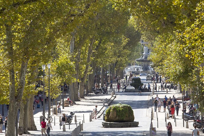 Provence, Vineyards and Lavender Fields Private Day Trip - Saint-Maximin-la-Sainte-Baume starts the morning