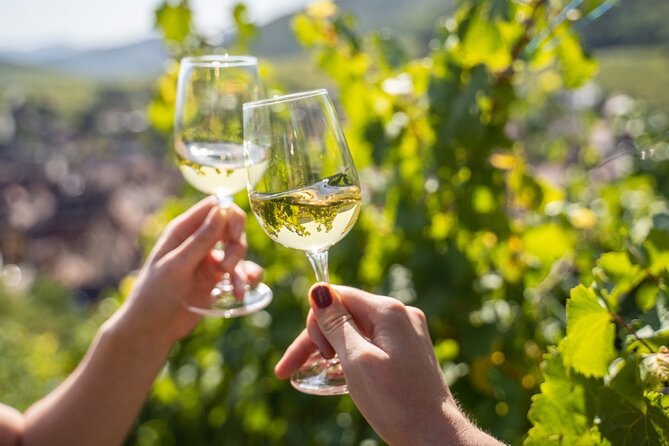 Provence, Vineyards and Lavender Fields Private Day Trip - Three hours in Aix-en-Provence