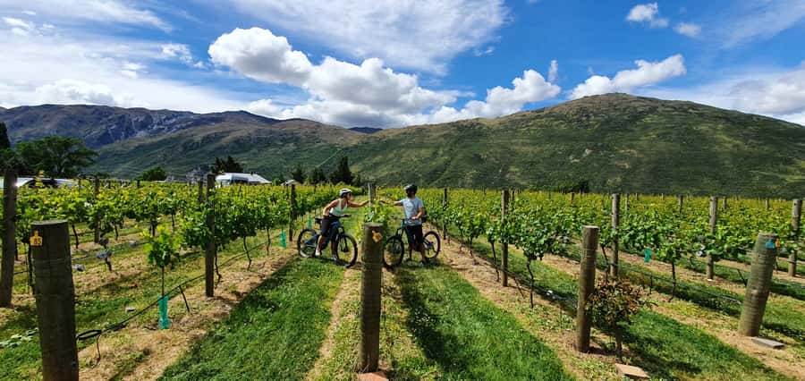 Queenstown: Guided E-Bike Tour with Winery Visits & Tastings - Crossing Kawarau Bridge, the bungy landmark