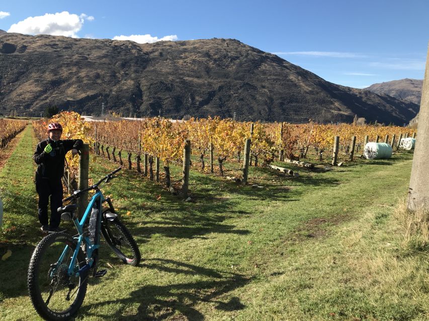 Queenstown: Guided E-Bike Tour with Winery Visits & Tastings - Why the small group makes a difference