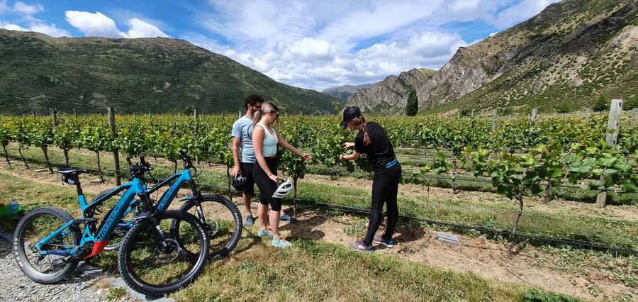Queenstown: Guided E-Bike Tour with Winery Visits & Tastings - Arrowtown’s gold-mining past and river trails
