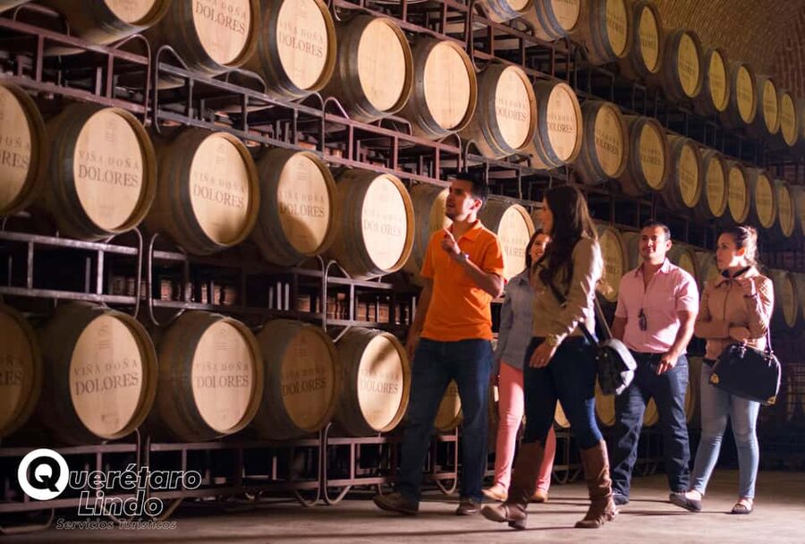Querétaro: Art, Cheese and Wine Route - Why this route works as a day from Querétaro
