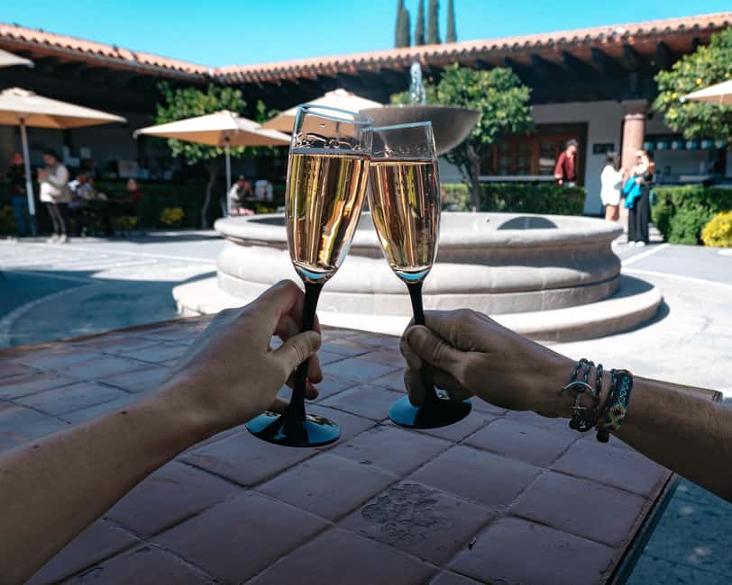 Querétaro: Art, Cheese and Wine Route - Viña Tx and the 13-cheese tasting