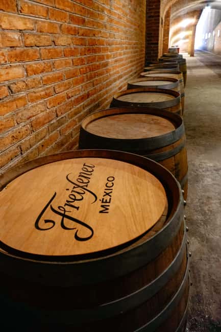 Querétaro: Art, Cheese and Wine Route - Who will enjoy this day most