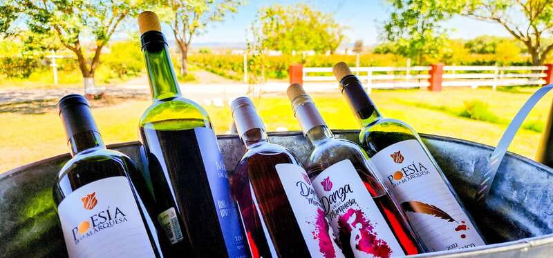 Querétaro: Haciendas, Vineyards, and Magical Towns Day Trip - Is the $131 price fair?
