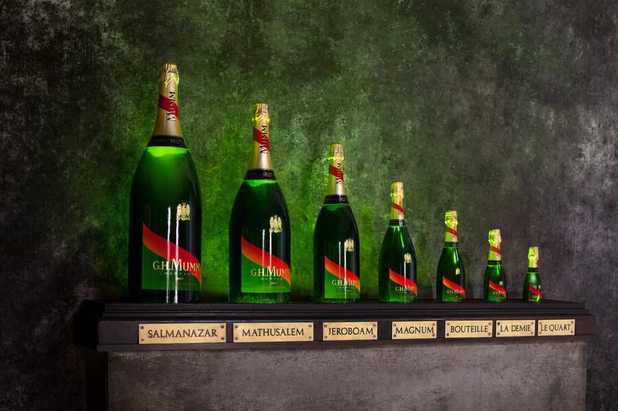 Reims: Champagne House Mumm, Winery Visit with Lunch - Practical tips for making the day easier