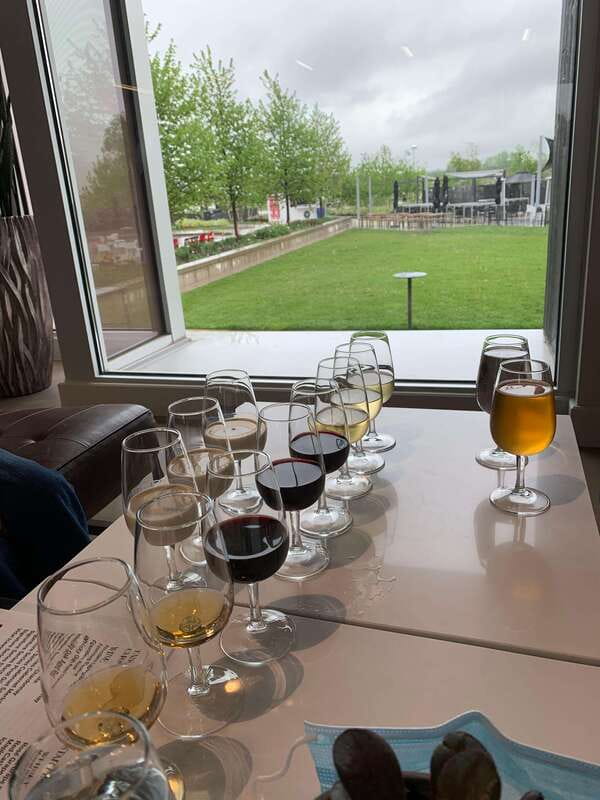 Relaxing Lunch & Wine Tour through Niagara's Wine Country - Three Niagara wineries, one relaxed half-day