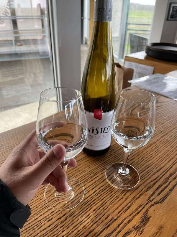 Relaxing Lunch & Wine Tour through Niagara's Wine Country - The winery tour, from vine to barrel room