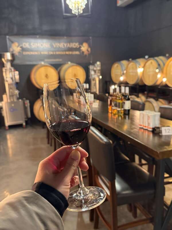 Relaxing Lunch & Wine Tour through Niagara's Wine Country - What the 45-minute tastings feel like