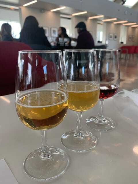 Relaxing Lunch & Wine Tour through Niagara's Wine Country - Who should book this Niagara wine tour?