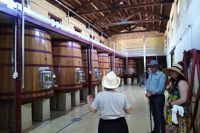 Requena Somm. Private Vineyards/ Premium Wine tasting 1/2 Day - Why this half-day wine tour feels different