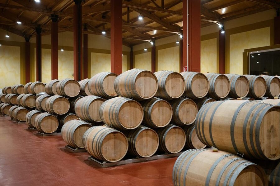 Ribera del Duero: Experience, vineyard, and 4x4 ride, plus an aperitif and tasting. - Tasting wine before it reaches the bottle