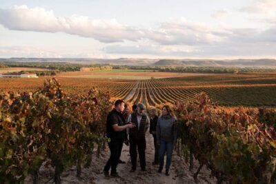 Ribera del Duero: Experience, vineyard, and 4×4 ride, plus an aperitif and tasting.
