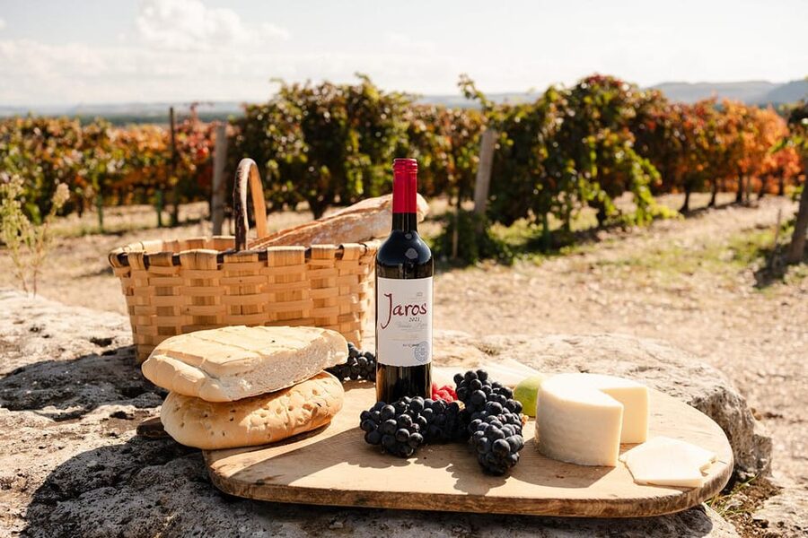 Ribera del Duero: Experience, vineyard, and 4x4 ride, plus an aperitif and tasting. - Is $41 a fair price?