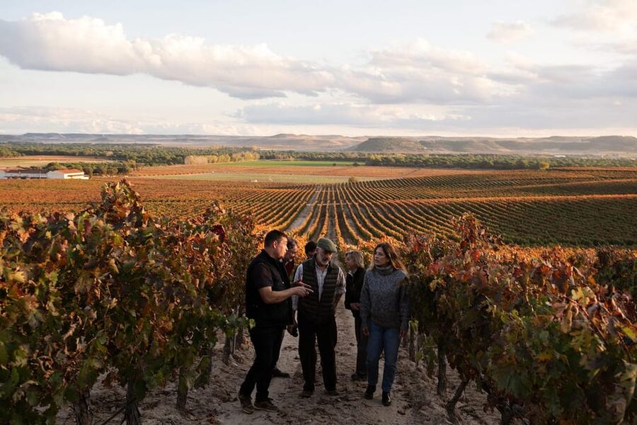 Ribera del Duero: Experience, vineyard, and 4x4 ride, plus an aperitif and tasting. - From the valley to the Mount Jaro viewpoint