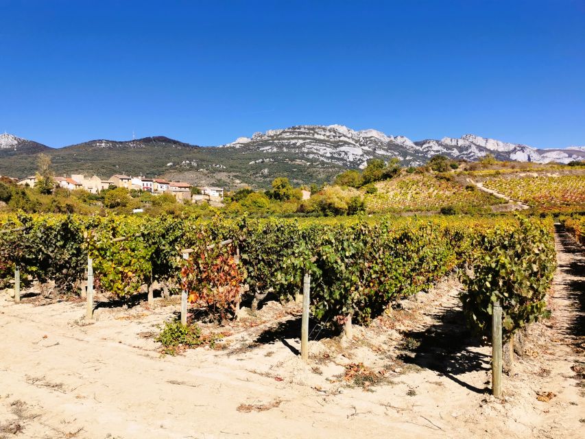 Ribera del Duero wine region private tour - Key points at a glance