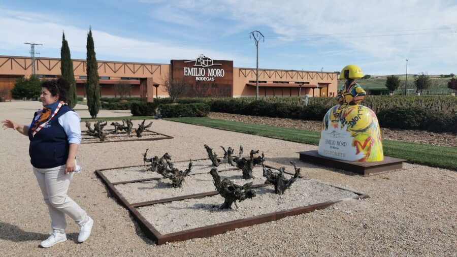 Ribera del Duero wine region private tour - Who will enjoy this private wine day?