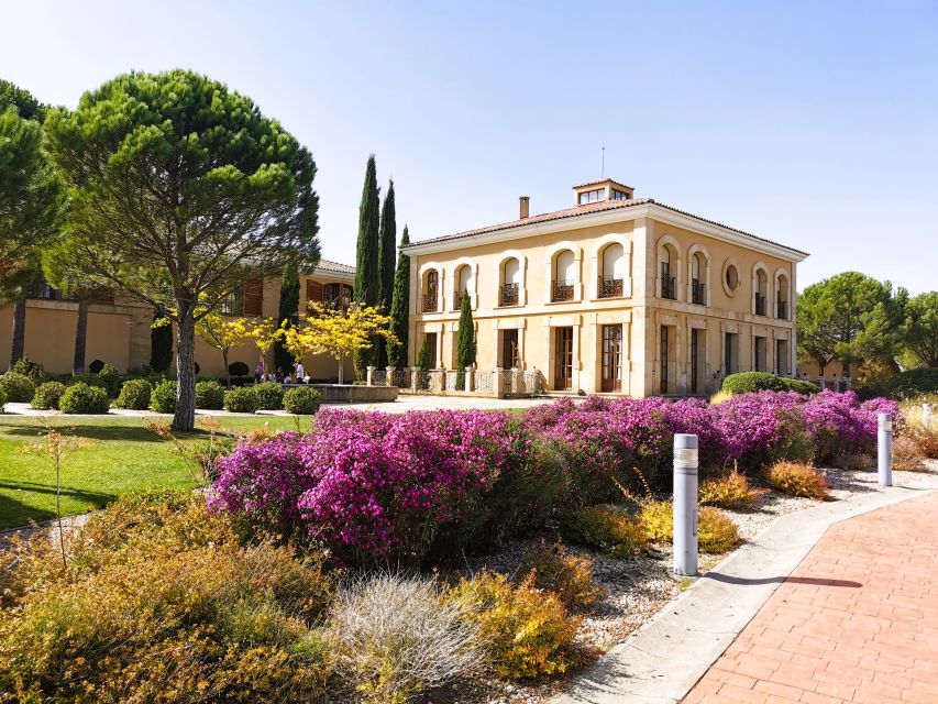 Ribera del Duero wine region private tour - Why Ribera del Duero makes a strong day trip from Madrid