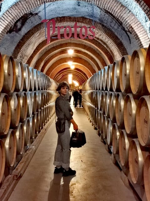 Ribera del Duero wine region private tour - The modern winery and its barrel tasting
