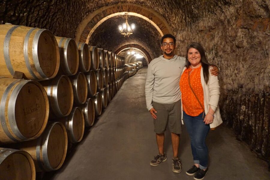 Ribera del Duero wine region private tour - Lunch in a Castilian village