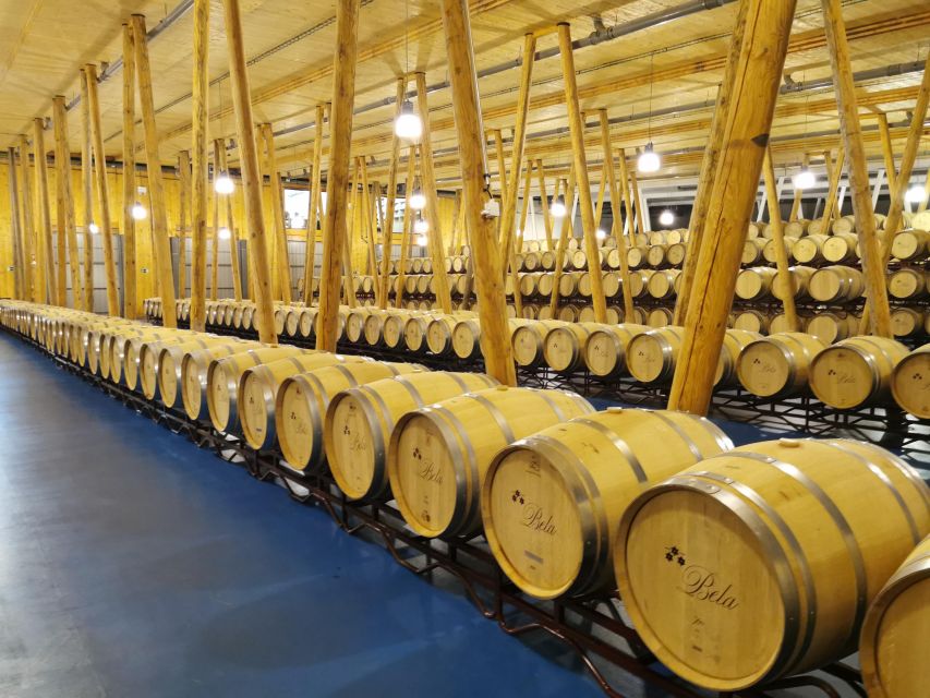 Ribera del Duero wine region private tour - How much wine knowledge do you need?