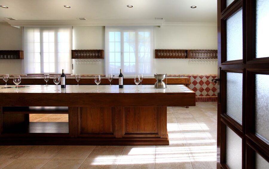 Ribera del Duero Winery Tour & Wine Tasting Near Valladolid - A vineyard visit with a clear beginning and end