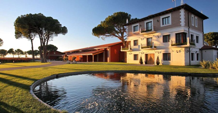 Ribera del Duero Winery Tour & Wine Tasting Near Valladolid - Walking through 15 Ribera del Duero plots