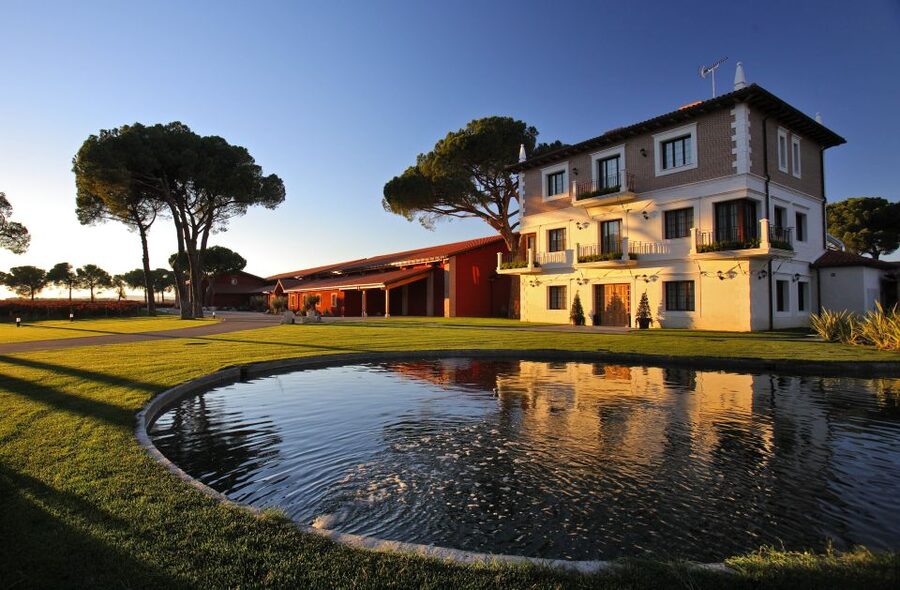 Ribera del Duero Winery Tour & Wine Tasting Near Valladolid - Tasting two Ribera del Duero wines
