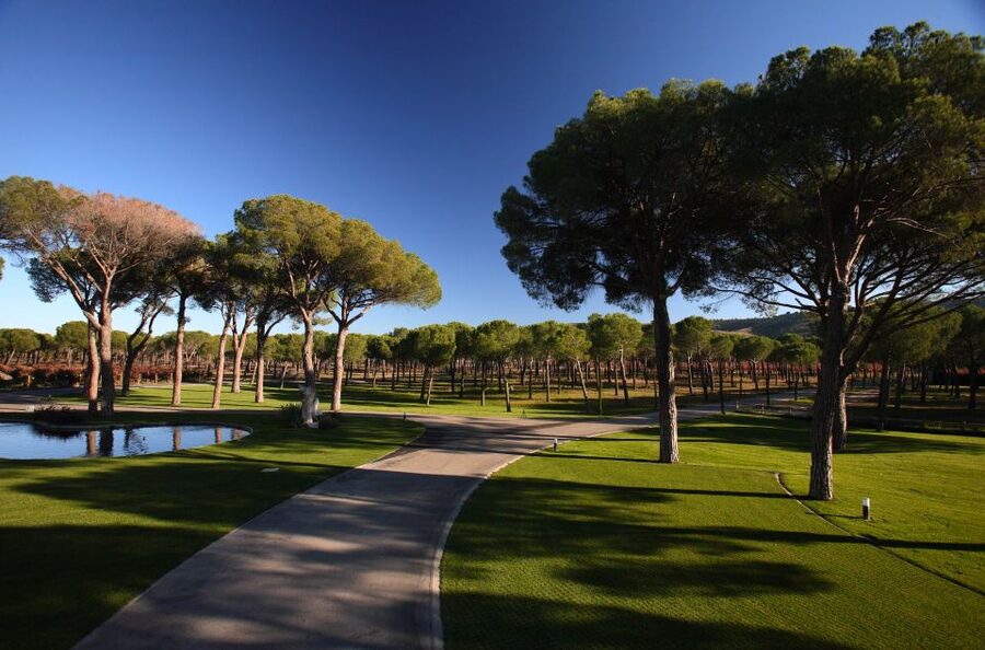 Ribera del Duero Winery Tour & Wine Tasting Near Valladolid - A few practical ways to get more from the visit