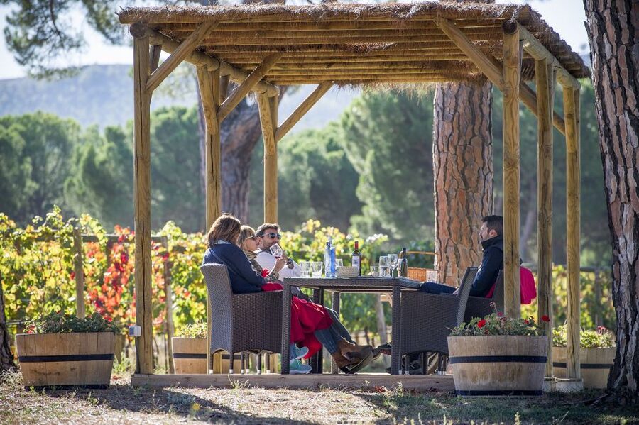 Ribera del Duero Winery Tour & Wine Tasting Near Valladolid - From harvested grapes to fermentation rooms