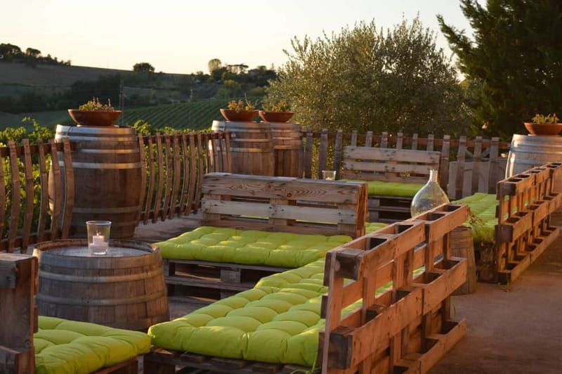 Rimini: San Valentino Vineyards Tour with DOC Wine Tastings - A small winery experience outside Rimini