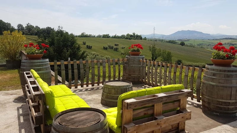 Rimini: San Valentino Vineyards Tour with DOC Wine Tastings - Inside the winery and barrel cellar