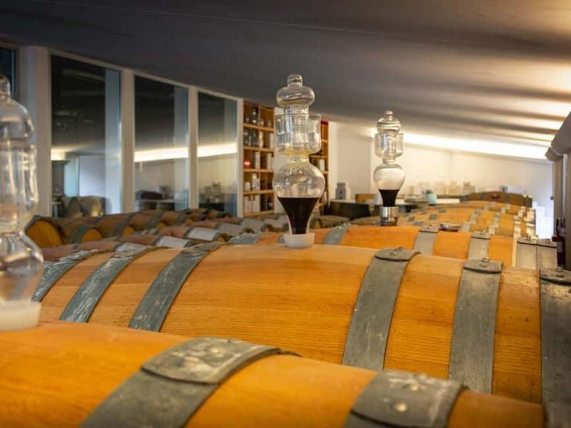 Rimini: San Valentino Vineyards Tour with DOC Wine Tastings - Bread, olive oil, cheeses, and cured meats