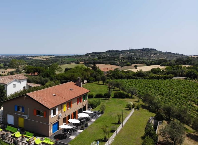 Rimini: San Valentino Vineyards Tour with DOC Wine Tastings - Starting among the vines