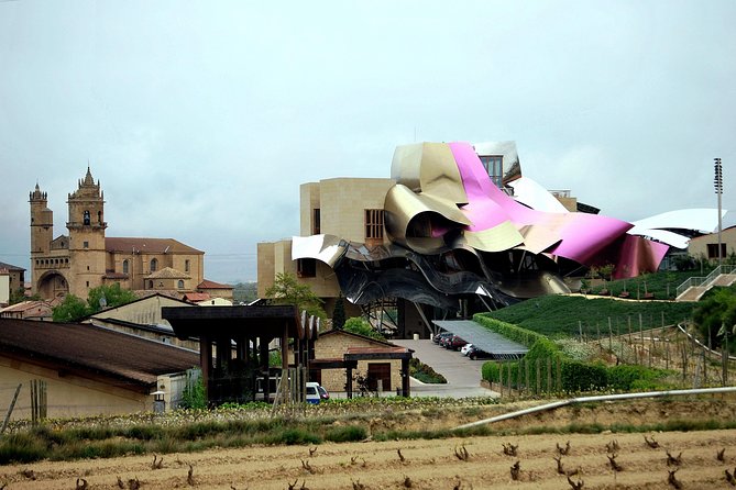 Rioja wine region with visit to winery & Vitoria-Gasteiz - Inside the traditional Rioja cellar