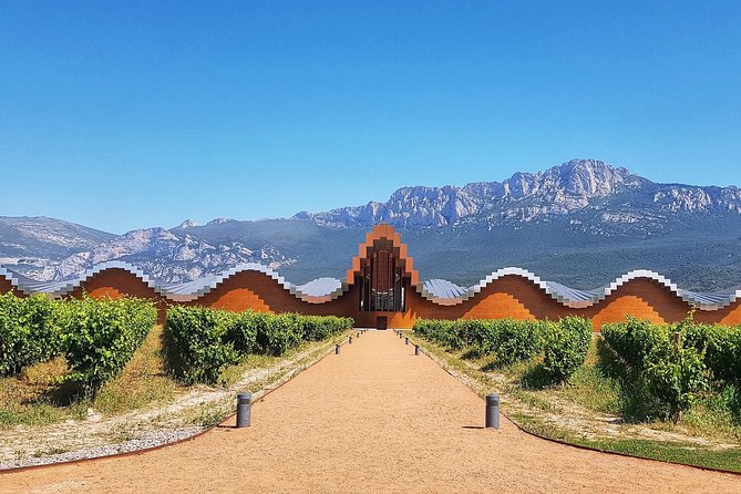 Rioja Wine Route with winery owner - Three more wineries across Rioja Alta or Rioja Alavesa