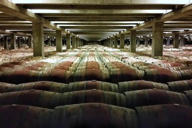 Rioja Wine Route with winery owner - Who will enjoy this Rioja wine route most