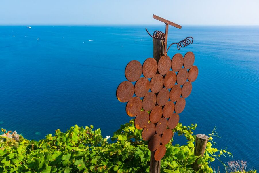 Riomaggiore: Vineyard & Wine Cellar Tour with Wine Tasting - Key points to know before you book