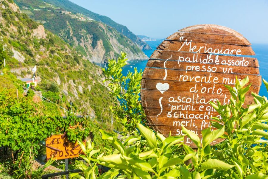 Riomaggiore: Vineyard & Wine Cellar Tour with Wine Tasting - Why this Riomaggiore wine tour feels different